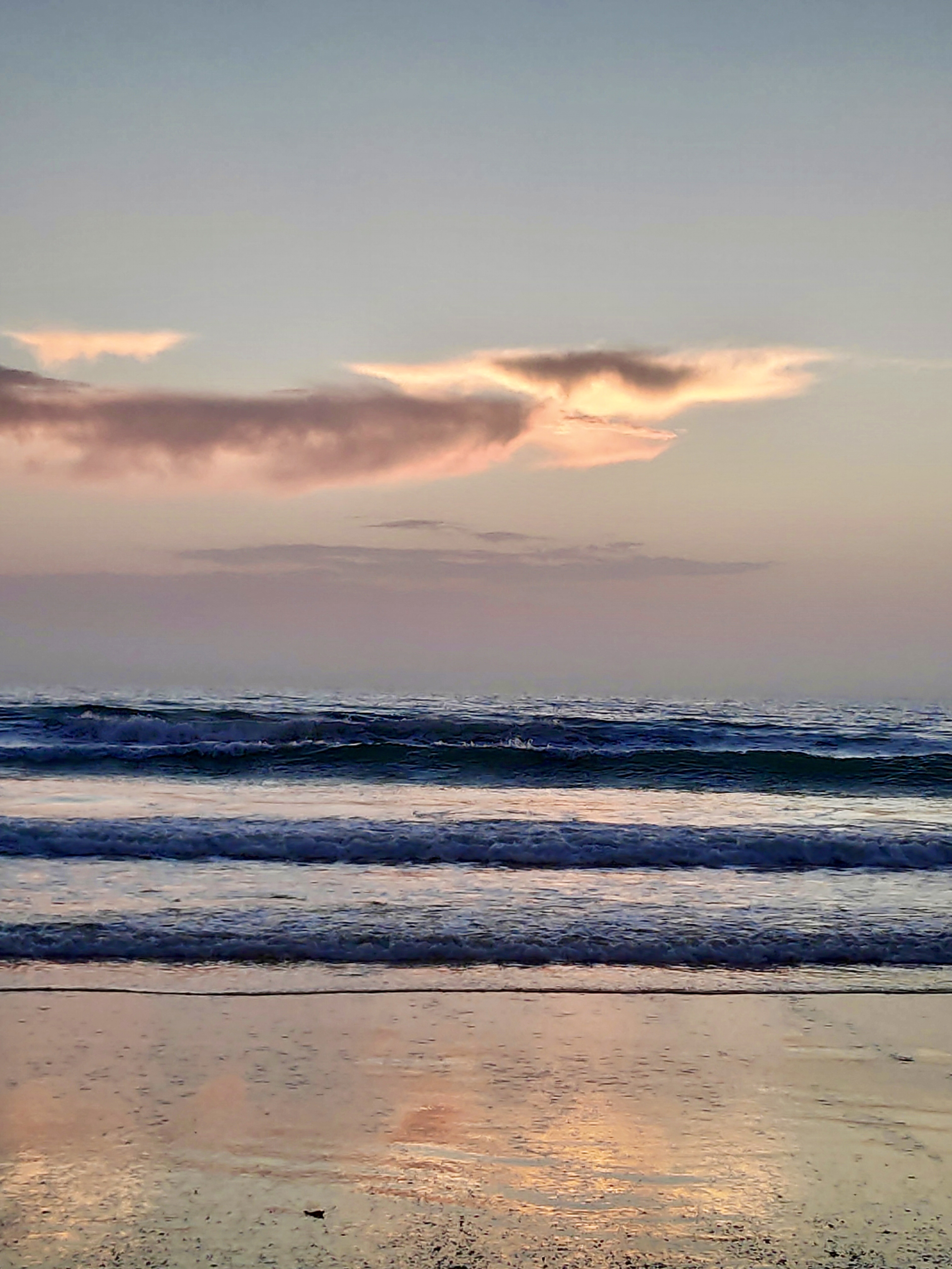 Beachside Life